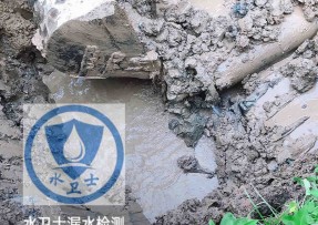 乾安县水管漏水检测公司5